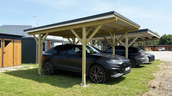 Holz-Carport CPP-5332