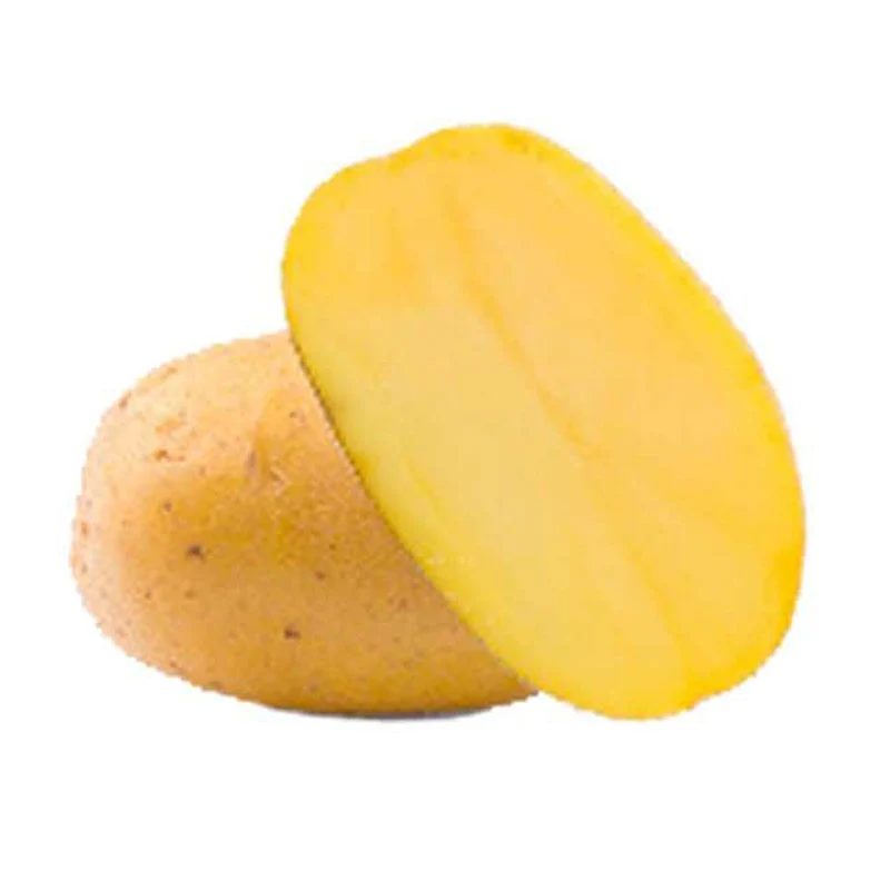 Goldmarie Kartoffeln BIO (x25)