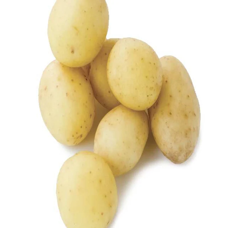 Penni-Kartoffeln (x25)