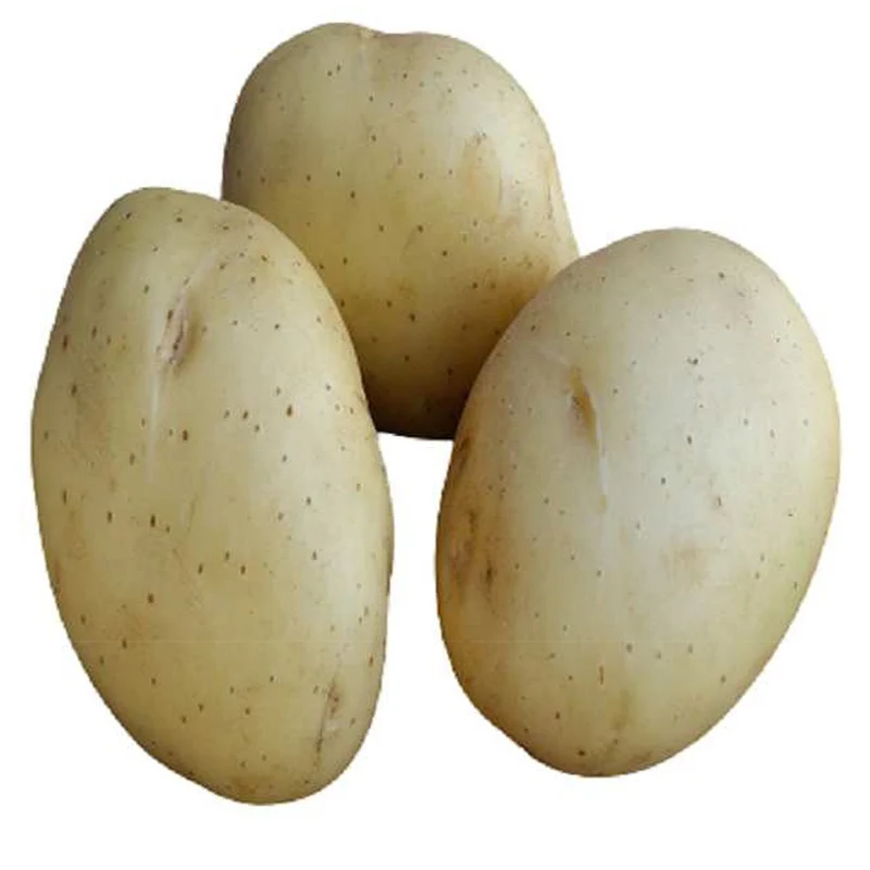 Vitabella-Kartoffeln BIO (x25)