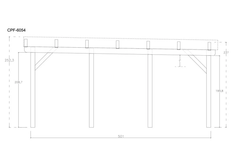 Holz-Carport CPF-6054