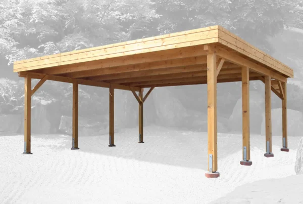 Holz-Carport CPF-6054