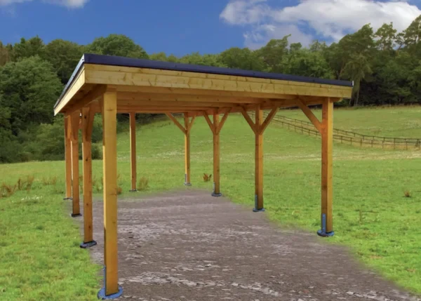 Holz-Carport CPF-3854