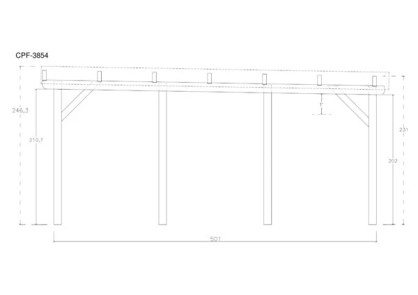 Holz-Carport CPF-3854