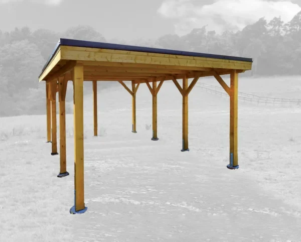 Holz-Carport CPF-3854