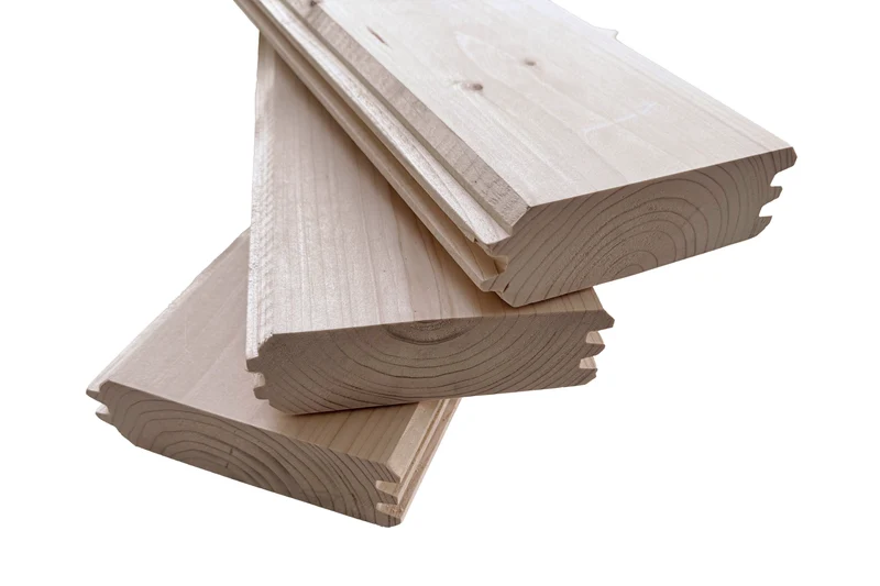 Holz-Gartenhaus Starla 3232
