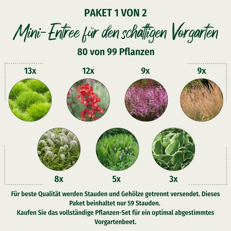 Paket 1 von 2 "Mini-Entree für den schattigen Vorgarten"