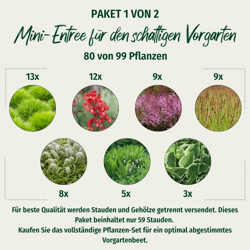 Paket 1 von 2 "Mini-Entree für den schattigen Vorgarten"