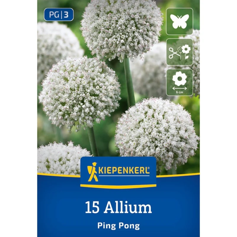 Kiepenkerl Allium-Mix "Blütengiganten“