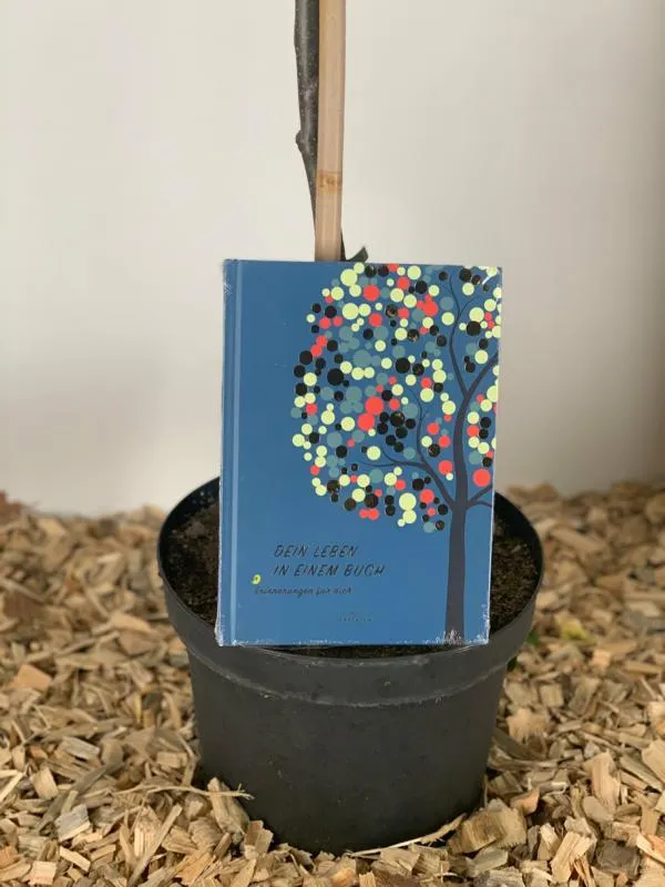 Geschenkpaket "Blühende Zukunft" zur Geburt