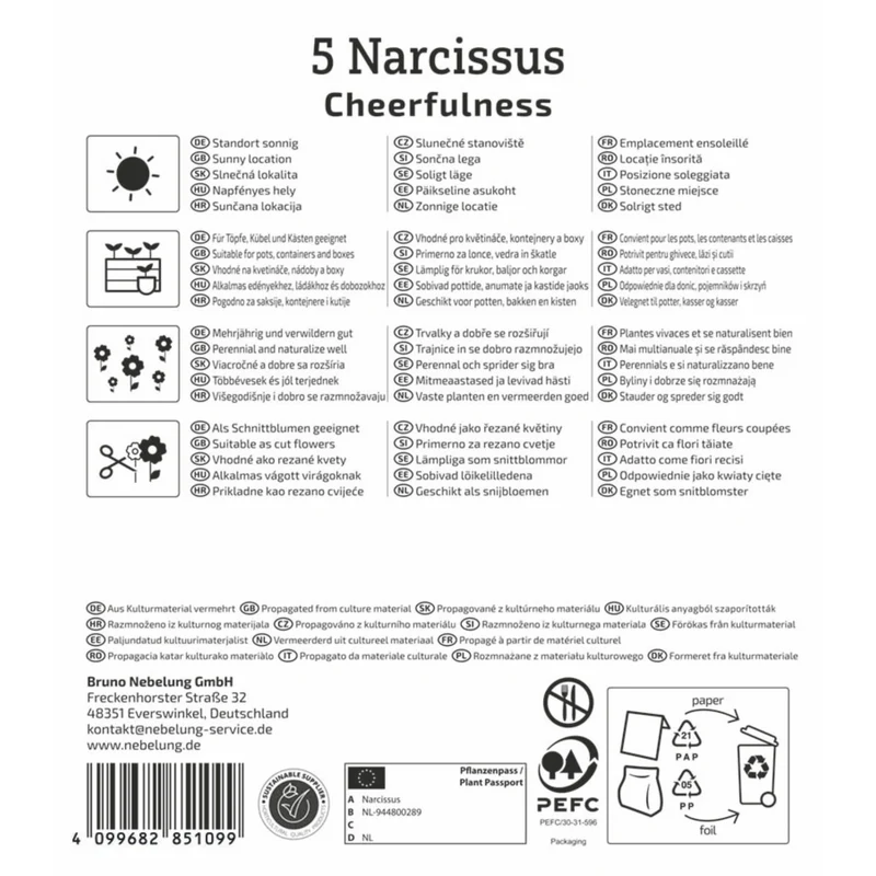 Kiepenkerl Poetaz-Narzisse 'Cheerfulness'