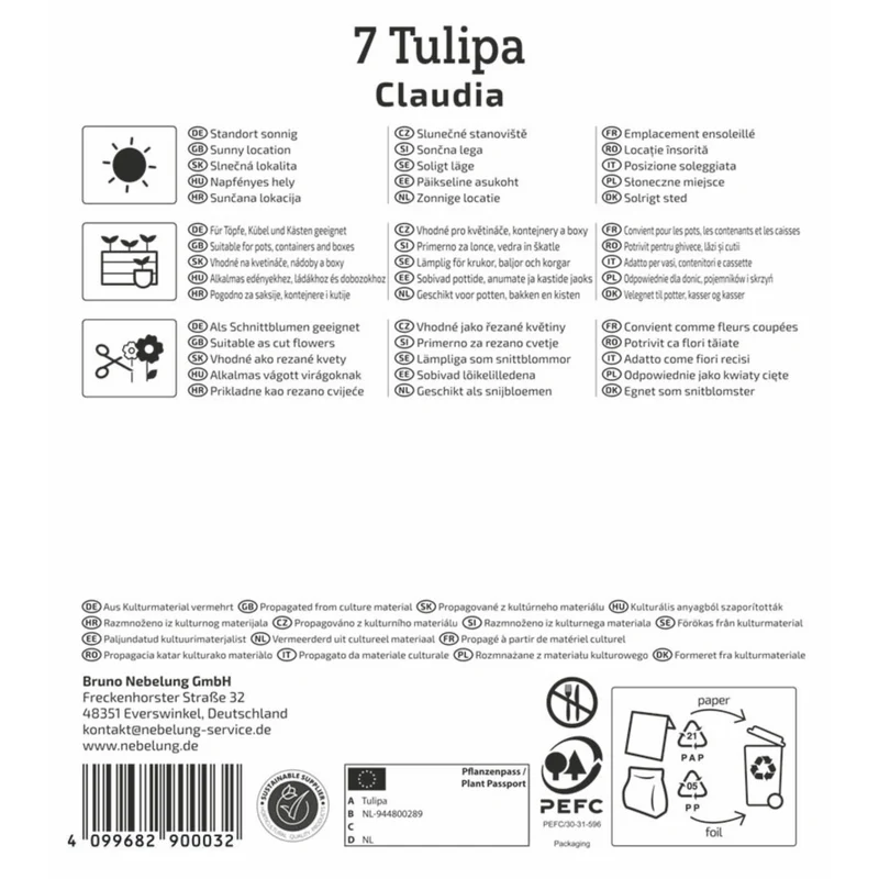 Kiepenkerl Lilienblütige Tulpe 'Claudia'