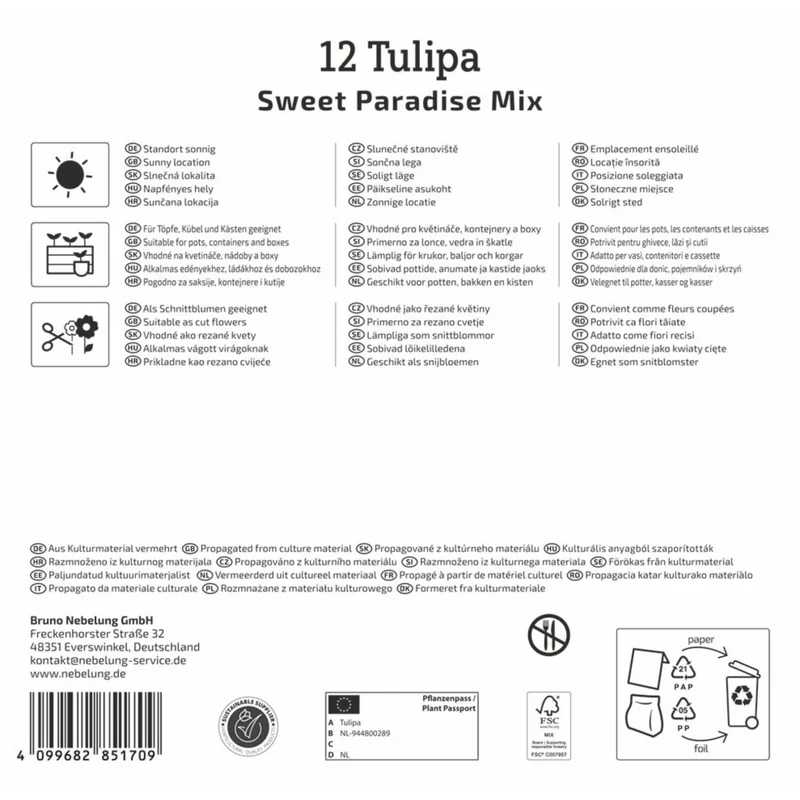 Kiepenkerl Blumenzwiebelmischung "Sweet Paradise Mix", Mega-Pack