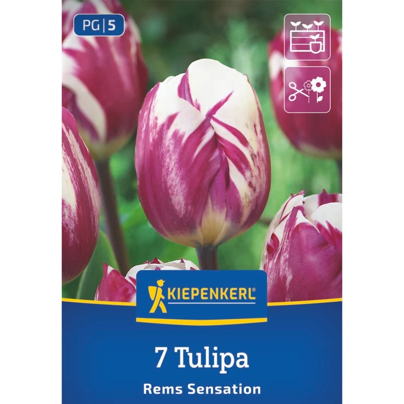 Kiepenkerl Blumenzwiebelmischung Lasagne-Mix "Königliche Frühlingspracht"