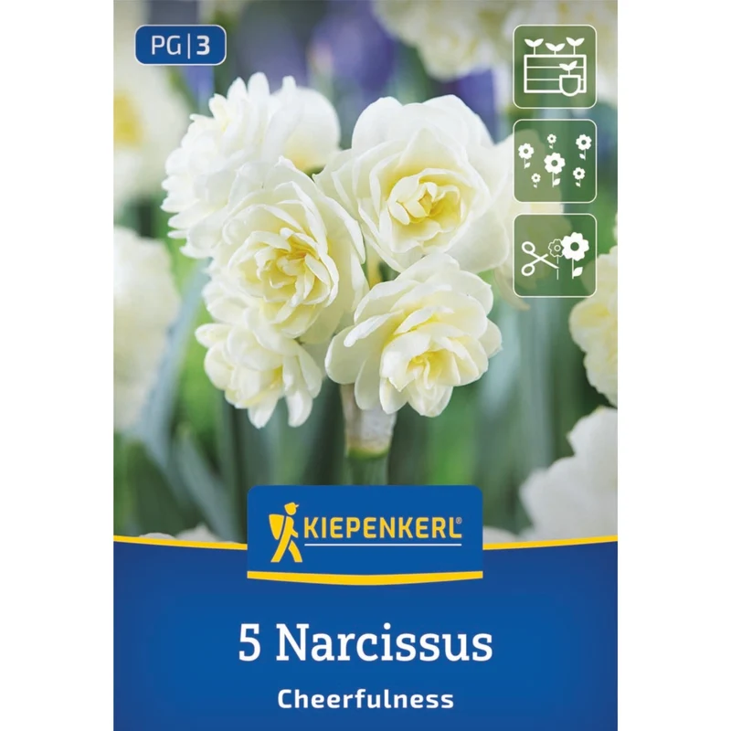 Kiepenkerl Blumenzwiebelmischung Lasagne-Mix "Königliche Frühlingspracht"