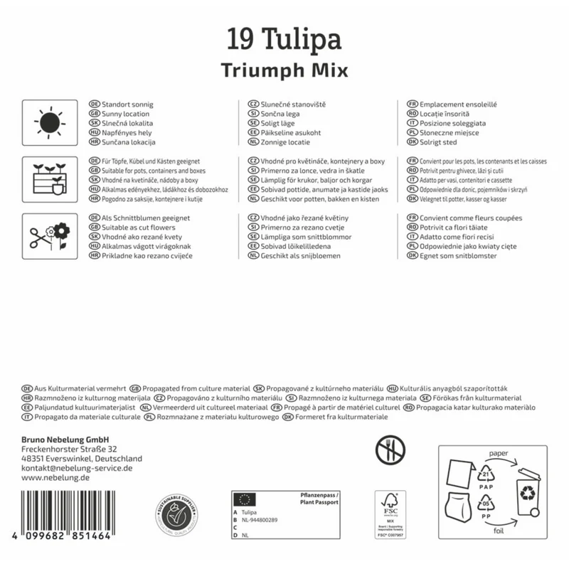 Kiepenkerl Triumph-Tulpen Mischung, Mega-Pack