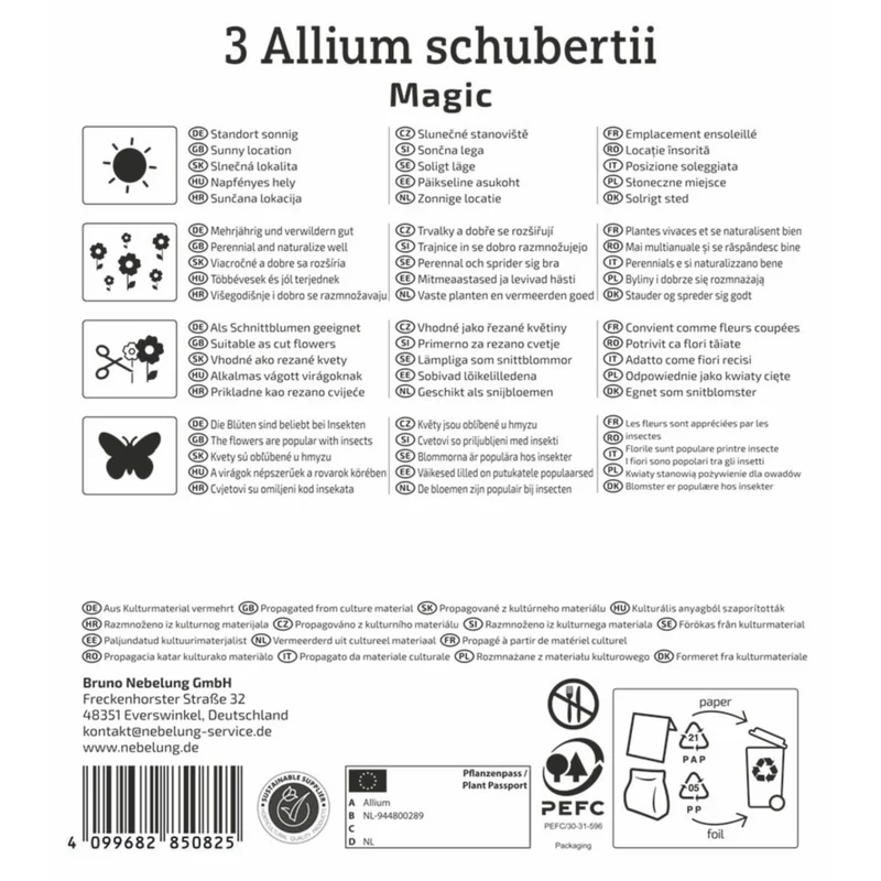 Kiepenkerl Zierlauch 'Magic', Profi-Line
