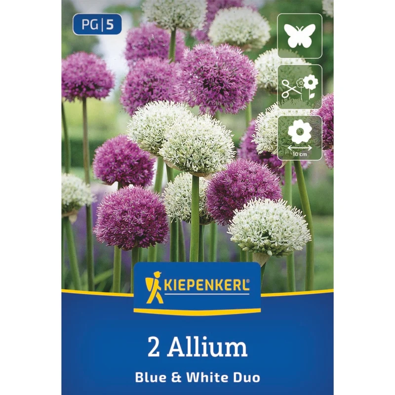 Kiepenkerl Zierlauchmischung "Blue & White Duo"