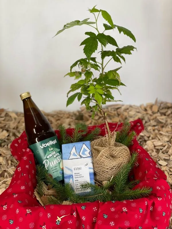 Geschenkbox „Himbeere“