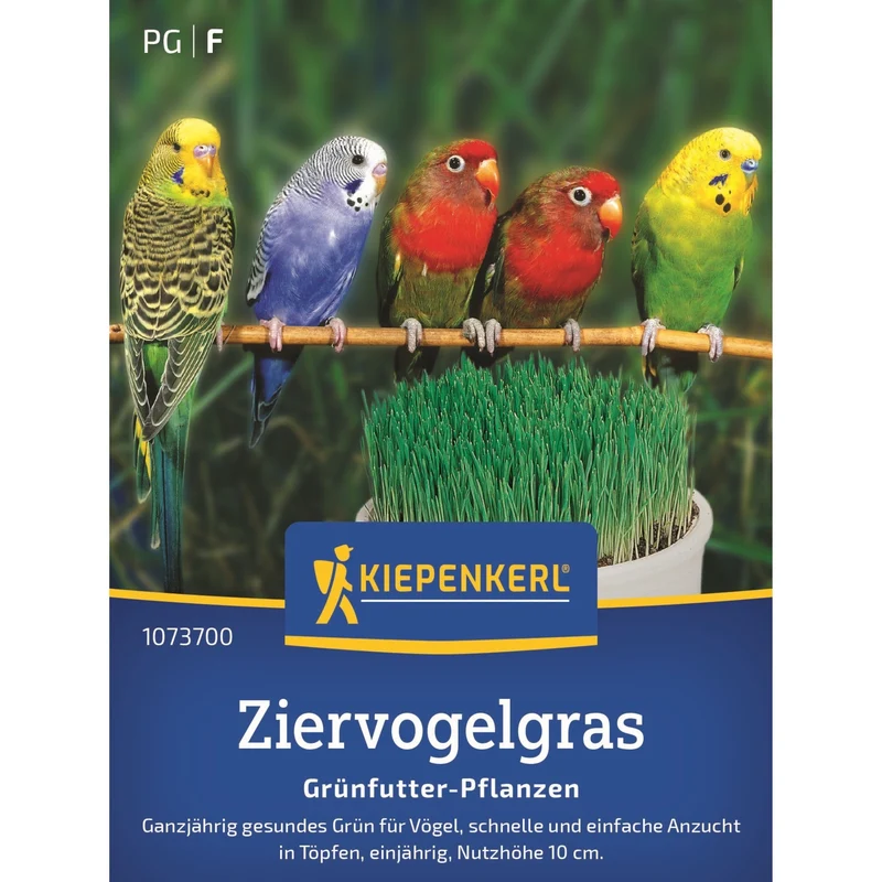 Kiepenkerl Ziervogelgras Frischgrün Mischung
