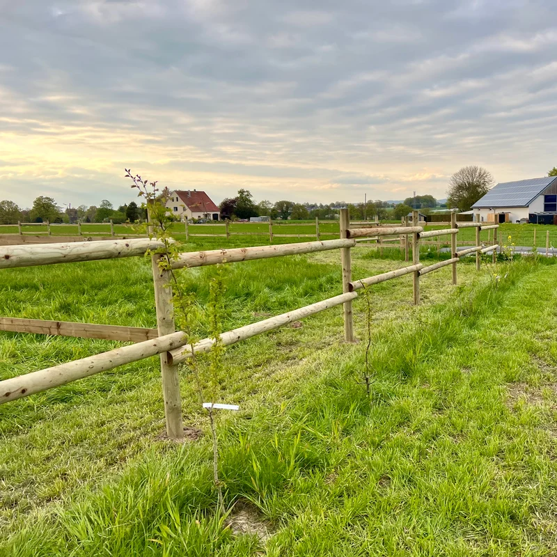 Weidezaun Pferdezaun - Komplettset - KDI (Runde Pfähle)