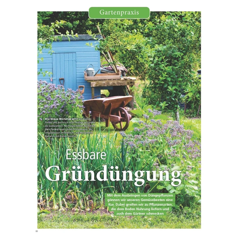 Zeitschrift Mein schöner Garten Spezial 'Naturgarten' 03/26