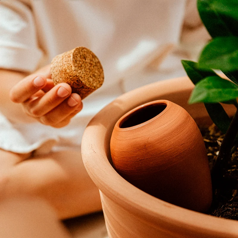 Olla – Terrakotta