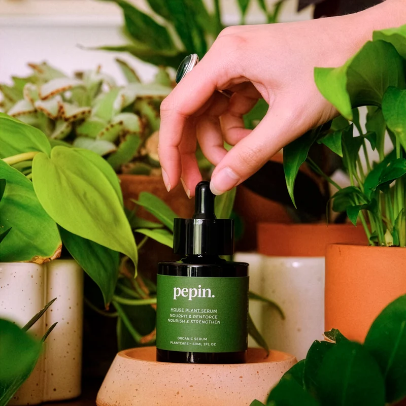 Pflegendes Serum – Grüne Pflanzen