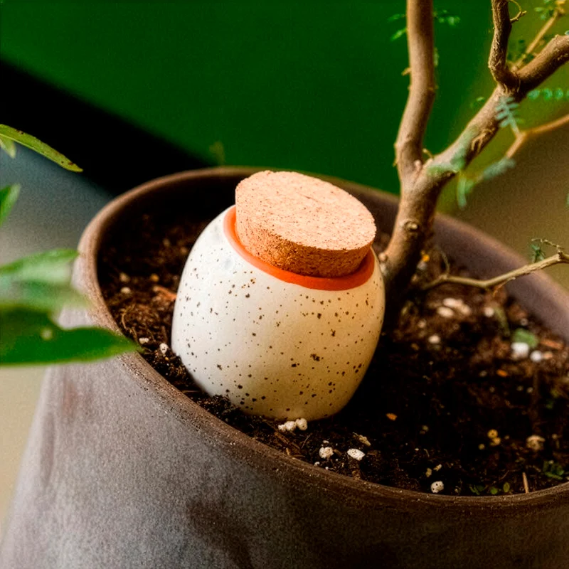 Olla – Gekörntes Weiß