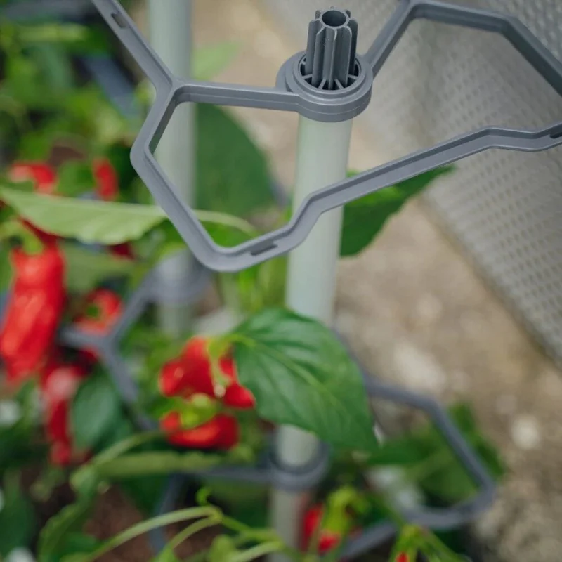 Gusta Garden CHARLY CHILI