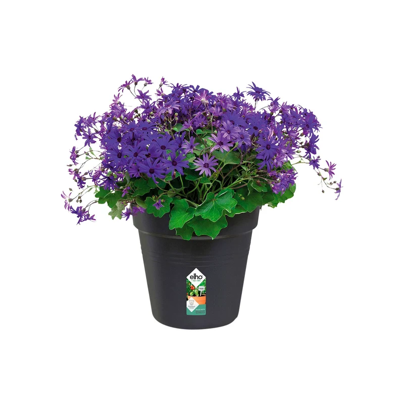 Anzuchttopf Green Basics Living Schwarz ELHO