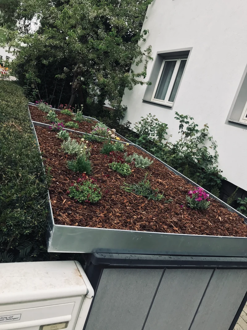 Pflanzwanne auf Maß Sonderanfertigung - Edelstahl (Mülltonnenbox nicht enthalten)