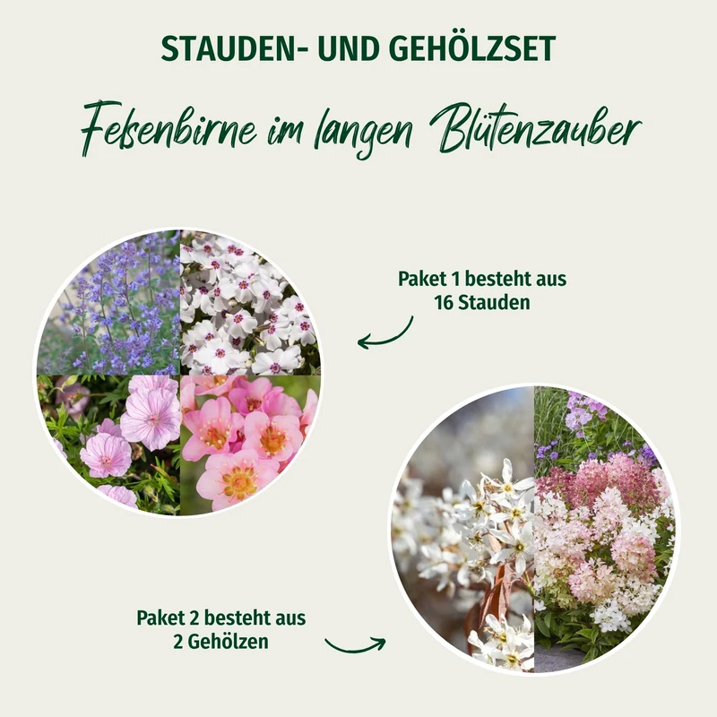 Paket 2 von 2 "Felsenbirne im langen Blütenzauber"