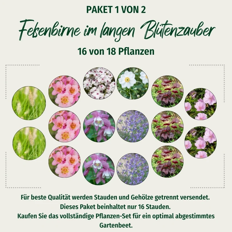 Paket 1 von 2 "Felsenbirne im langen Blütenzauber"