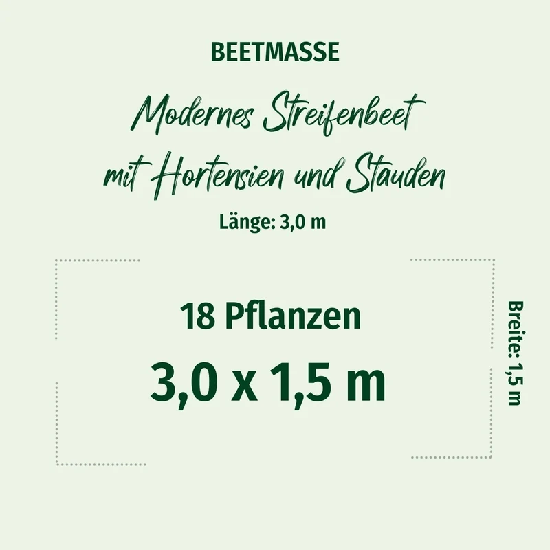 Pflanzen-Set "Modernes Streifenbeet mit Hortensien und Stauden"