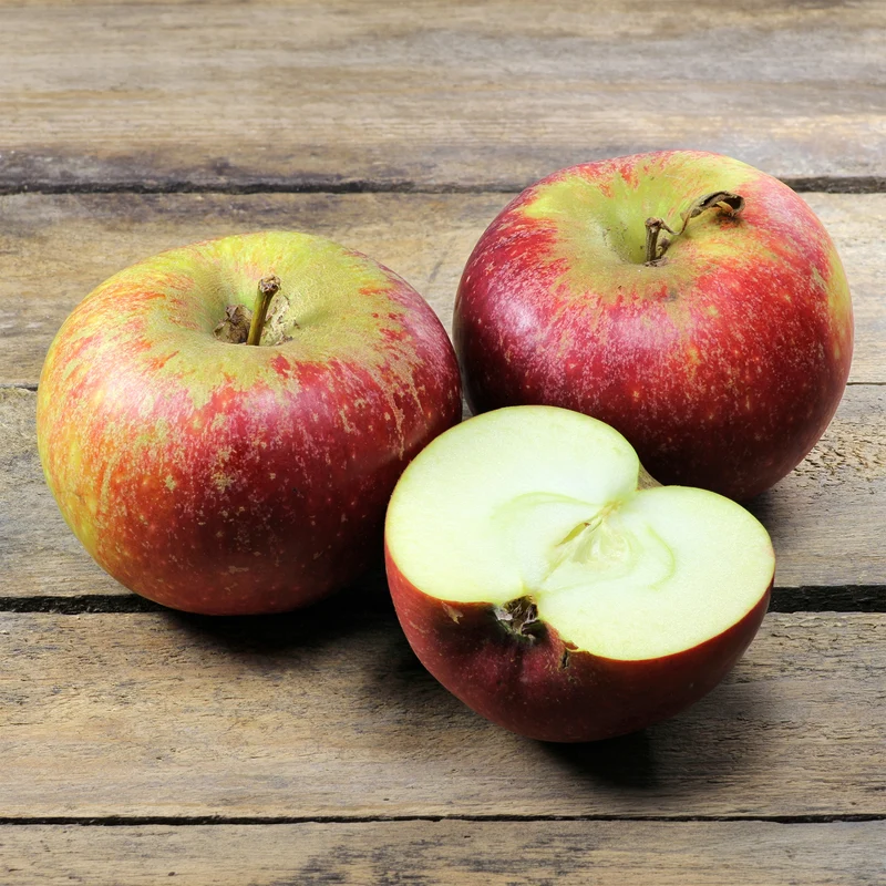 Apfel Ingrid Marie