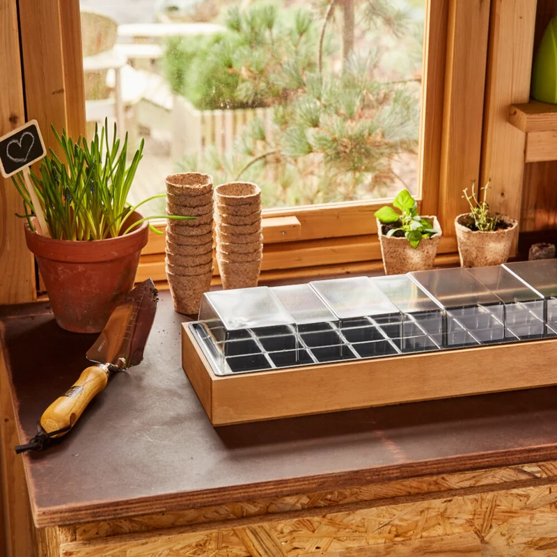 SIENA GARDEN Anzuchtkiste inkl. Topfplatte, Holz