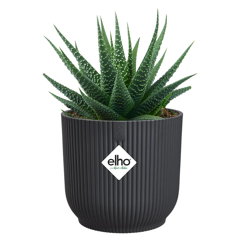 Elho Blumentopf Vibes fold rund anthrazit