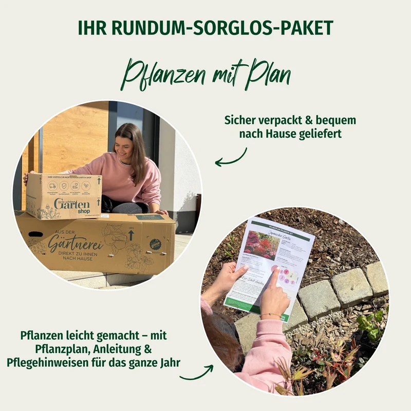 Pflanzen-Set “Wohlfühl-Garten“