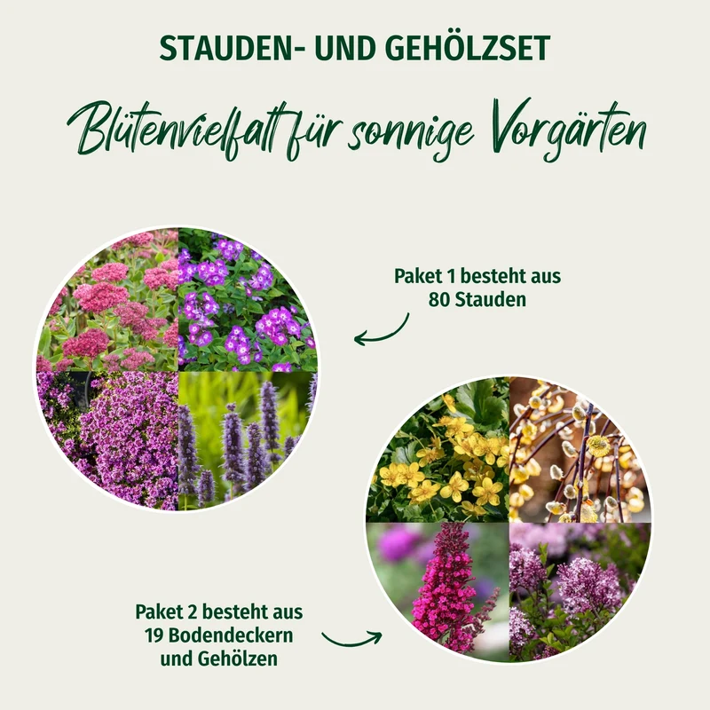 Pflanzen-Set "Blütenvielfalt für sonnige Vorgärten"
