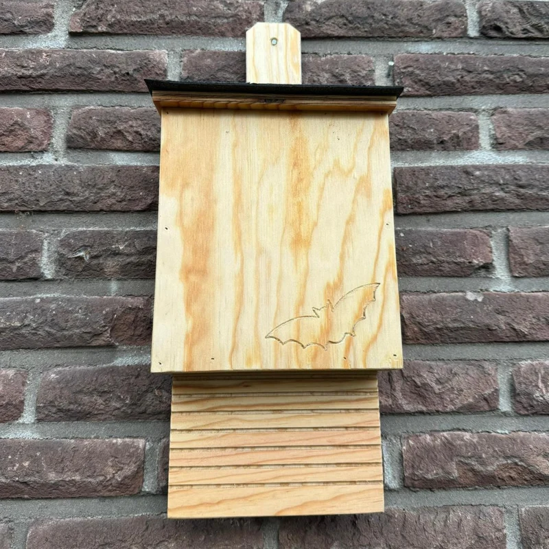 Fledermauskasten