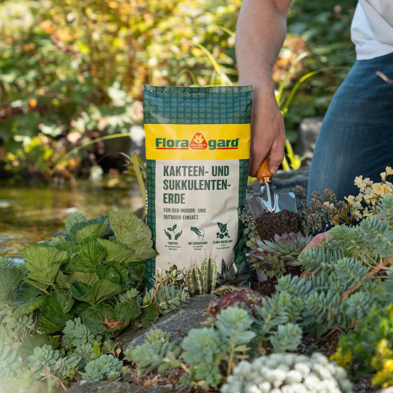 Floragard Kakteen- und Sukkulentenerde