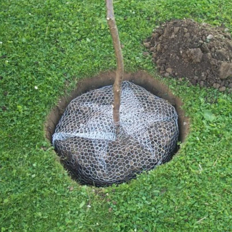 SIENA GARDEN Wühlmauskorb, metall