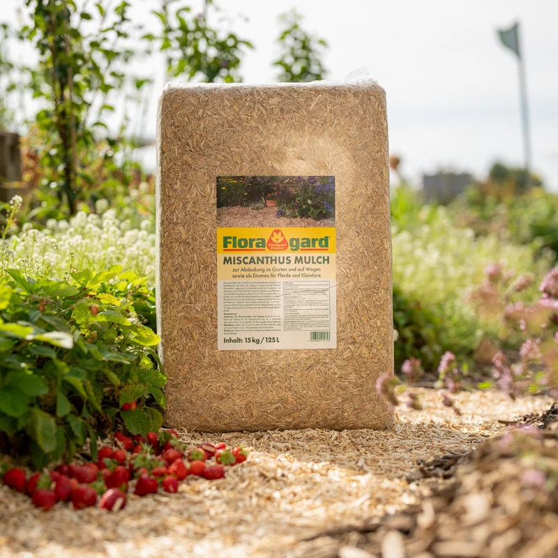 Floragard Miscanthus Mulchballen