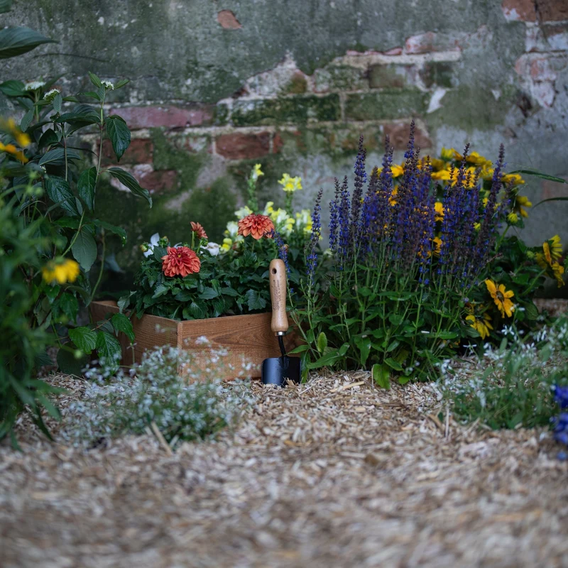 Floragard Miscanthus Mulchballen