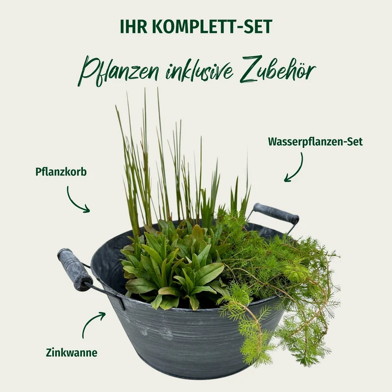 Miniteich mit Zinkwanne