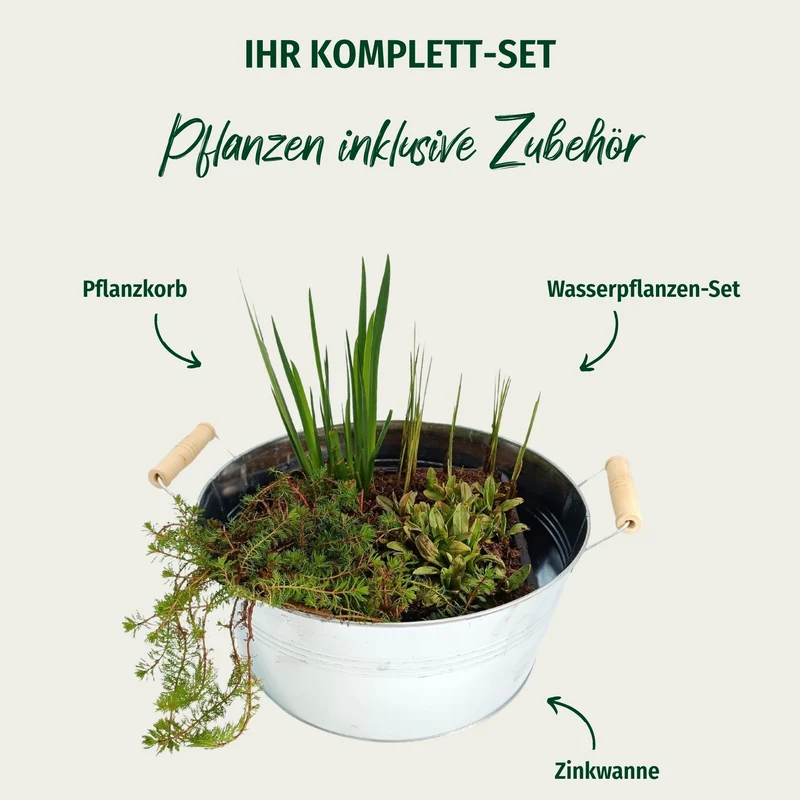 Miniteich mit Zinkwanne