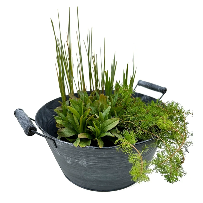 Miniteich mit Zinkwanne
