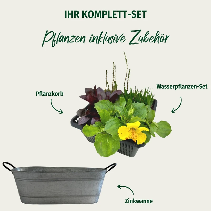 Miniteich in ovaler Zinkwanne "Starter Set"