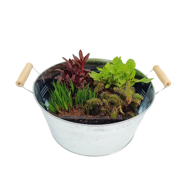 Miniteich mit Zinkwanne "Starter Set"